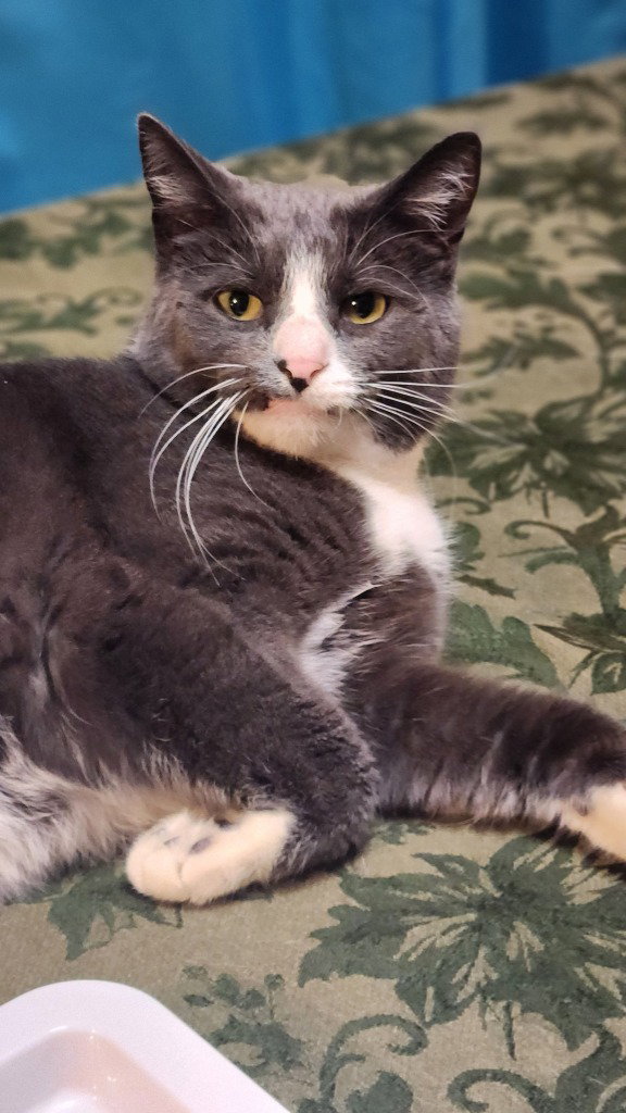 Finnegan