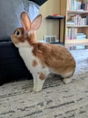 Butters - Photo 2