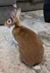 Butters - Photo 4
