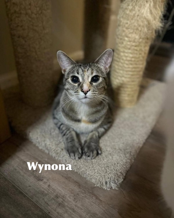 Wynona