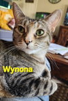 Wynona - Photo 3