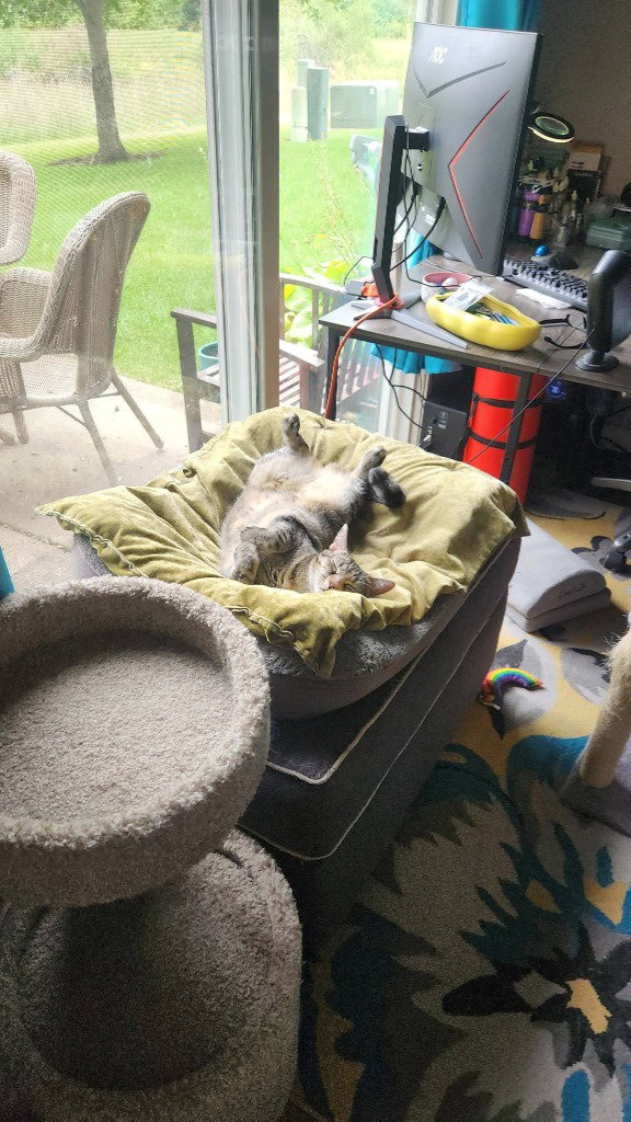 Wynona (Winnie), photo 3