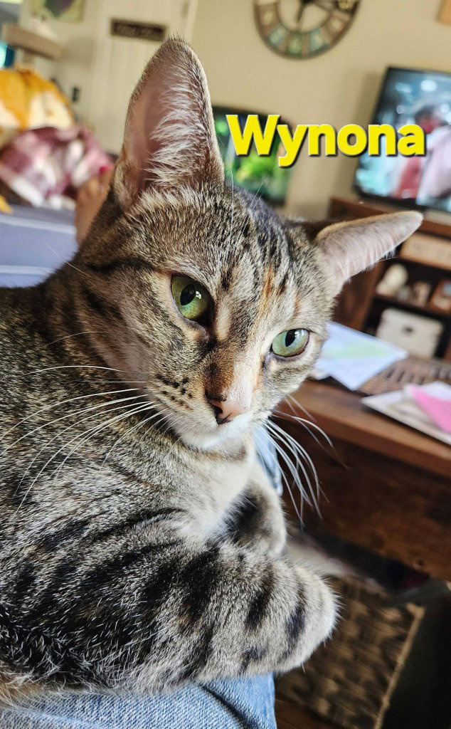 Wynona (Winnie), photo 4