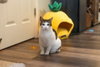 Mittens - Photo 2