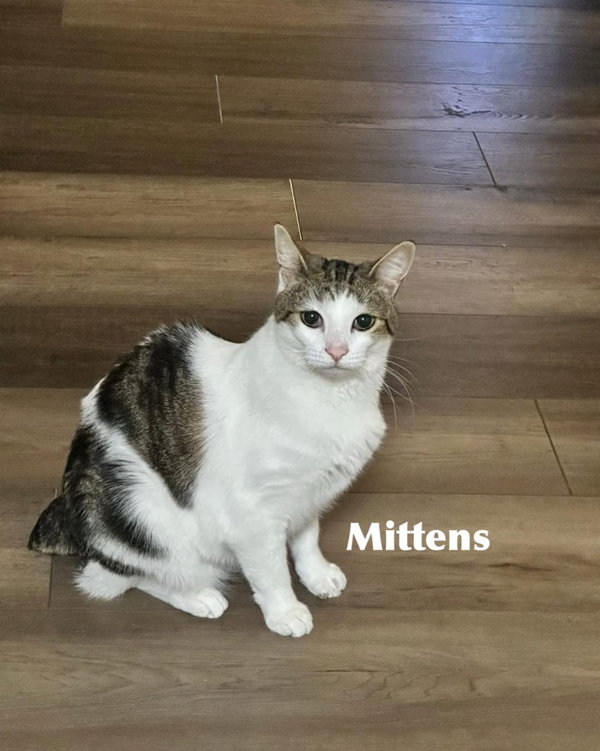 Mittens