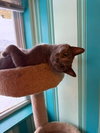 Whisper - Photo 4