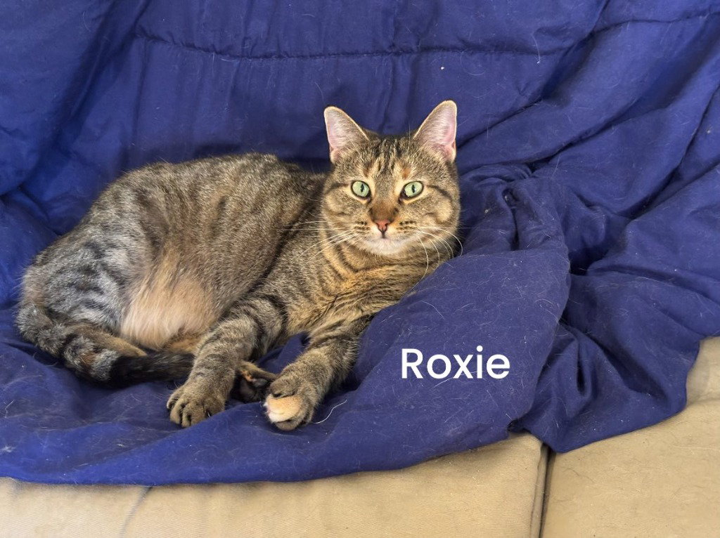 Roxie