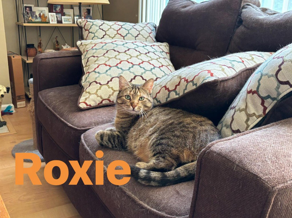 Roxie, photo 3
