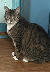 Roxy - Photo 3