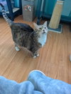 Roxy - Photo 2