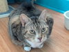 Roxy - Photo 3