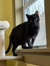 Wilma - Photo 1