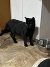 Wilma - Photo 2