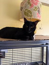 Wilma - Photo 3