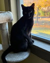 Wilma - Photo 4