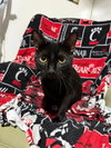 Wilma - Photo 4