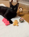 Betty - Photo 2