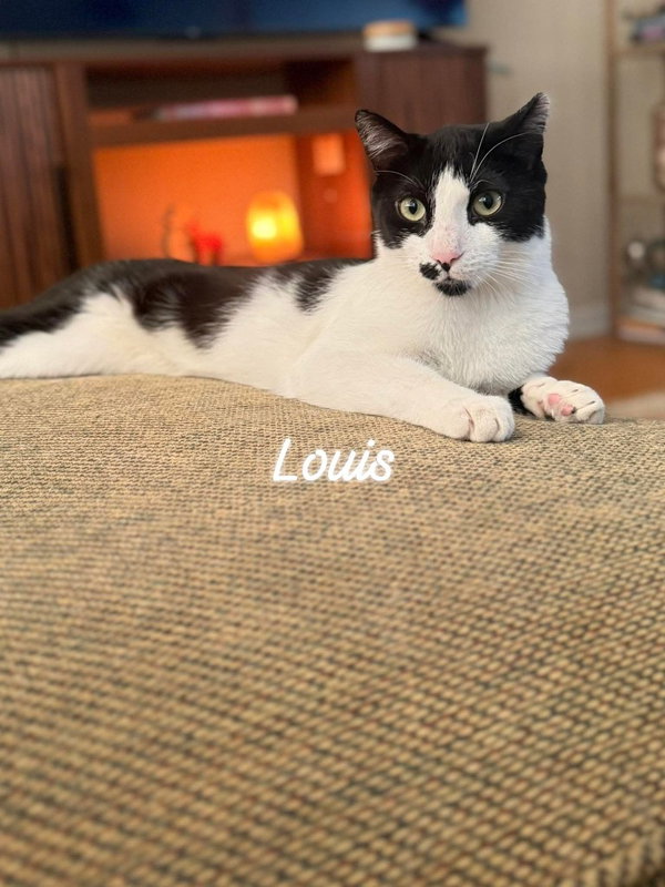 Louis