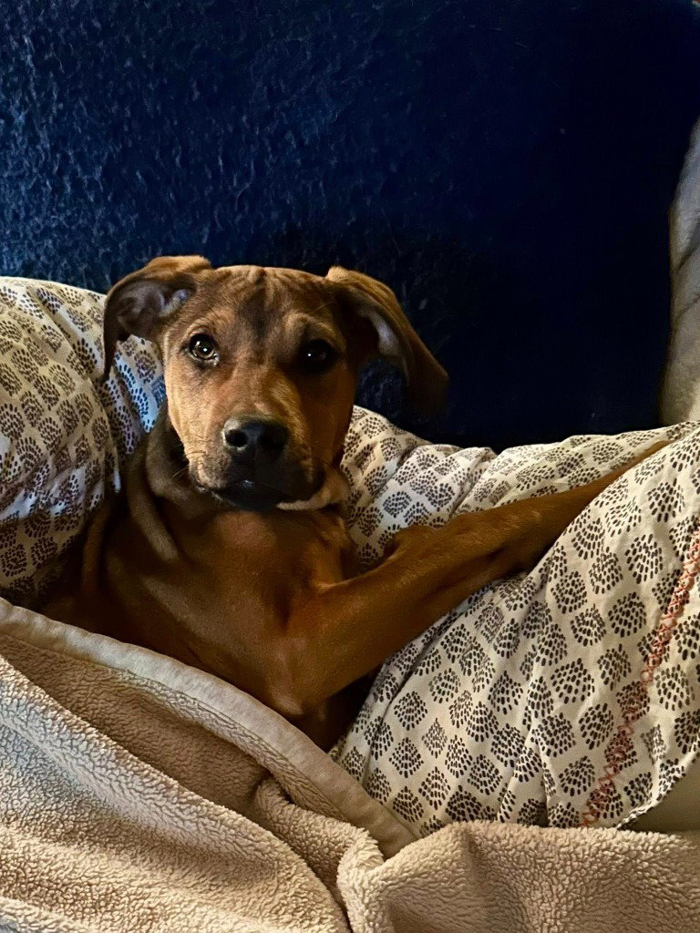 Juliet