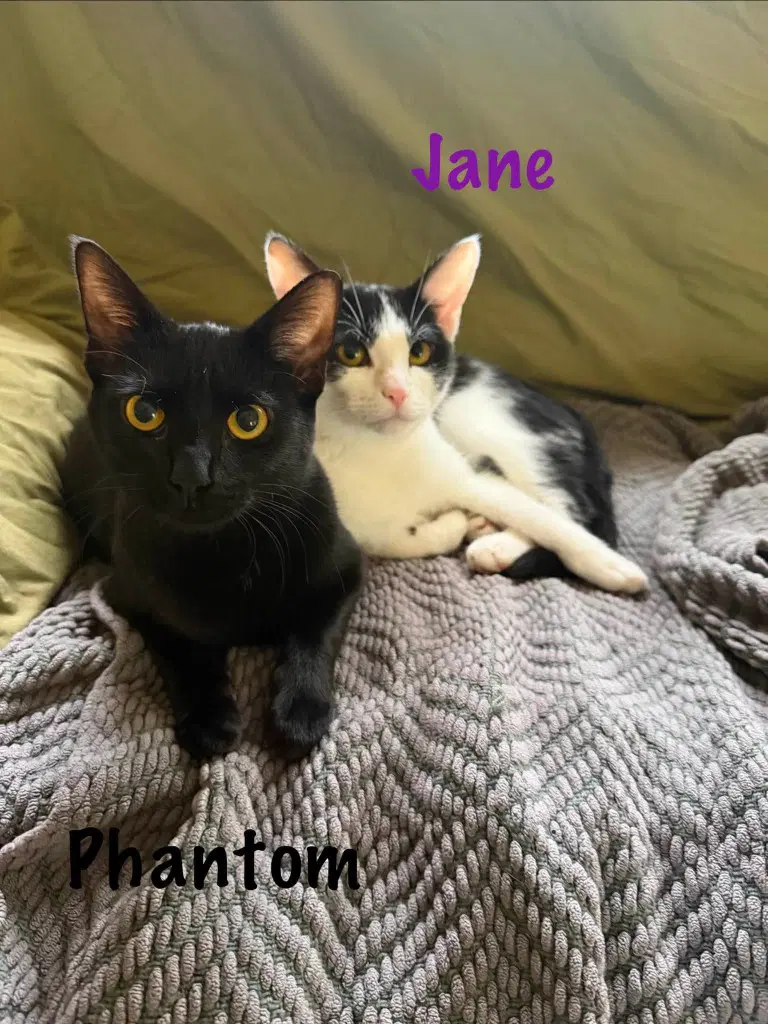 Phantom image 3