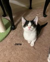 Jane - Photo 1