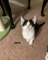 Jane - Photo 2