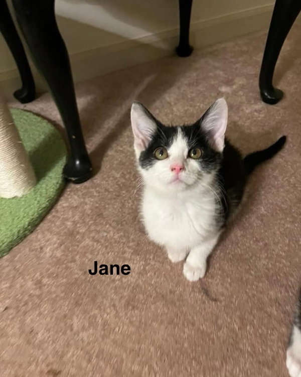 Jane