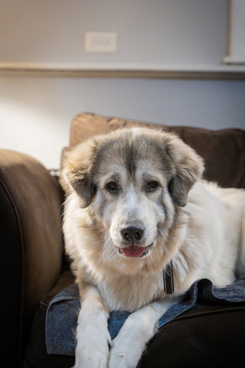 Luna photo 3