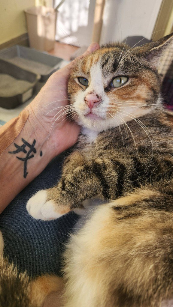 Maggie