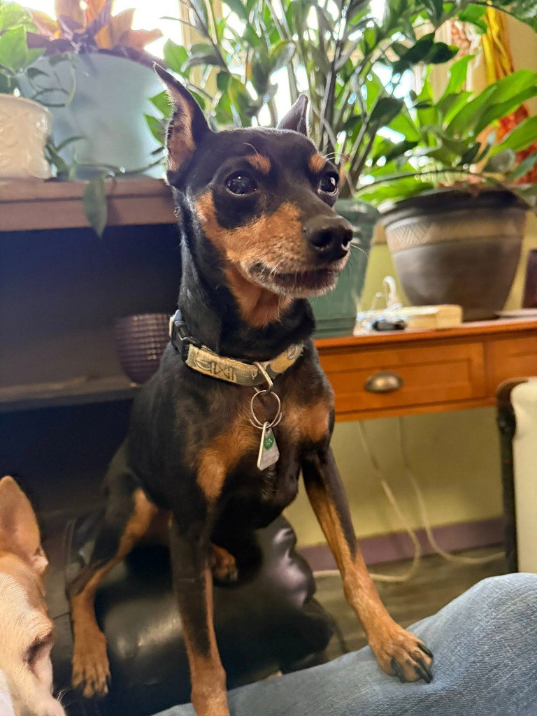 Charlie