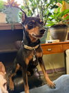 Charlie - Photo 1