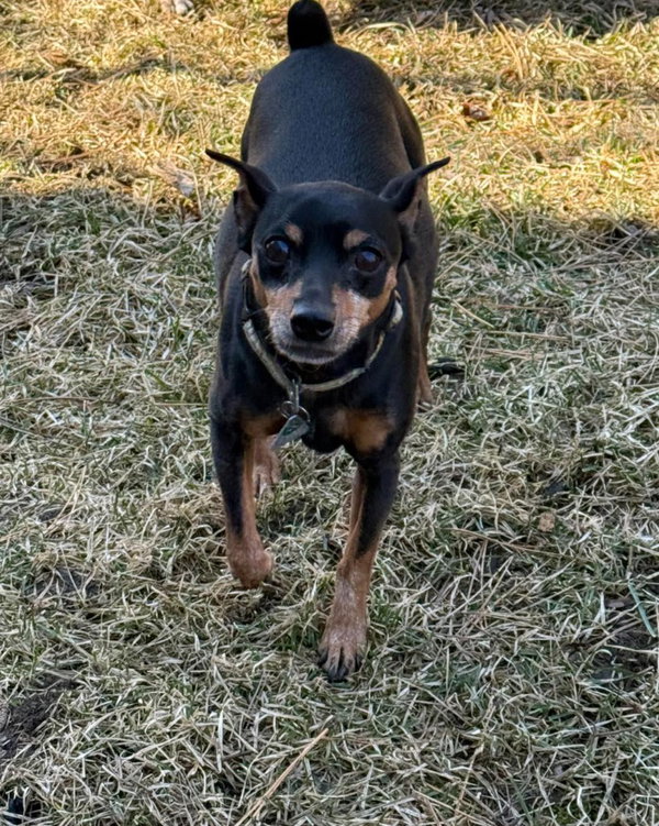 Charlie