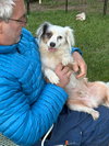 Odis - Photo 2