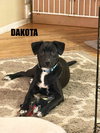 Dakota - Photo 1