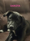 Dakota - Photo 2