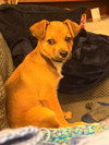 Kevin - Photo 4