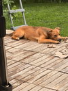 Kevin - Photo 2