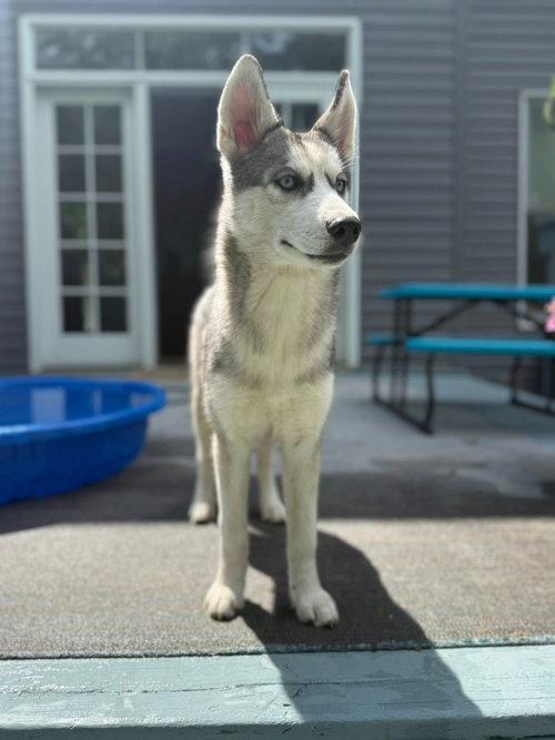 Freida photo 2