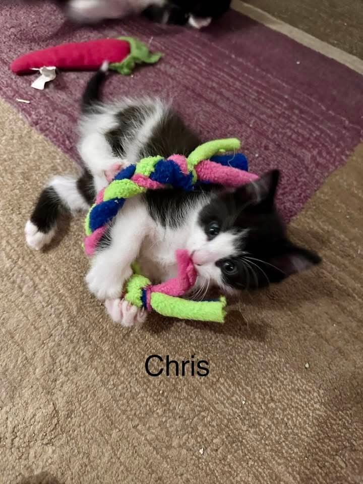 Chris