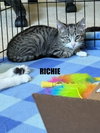 Richie - Photo 1