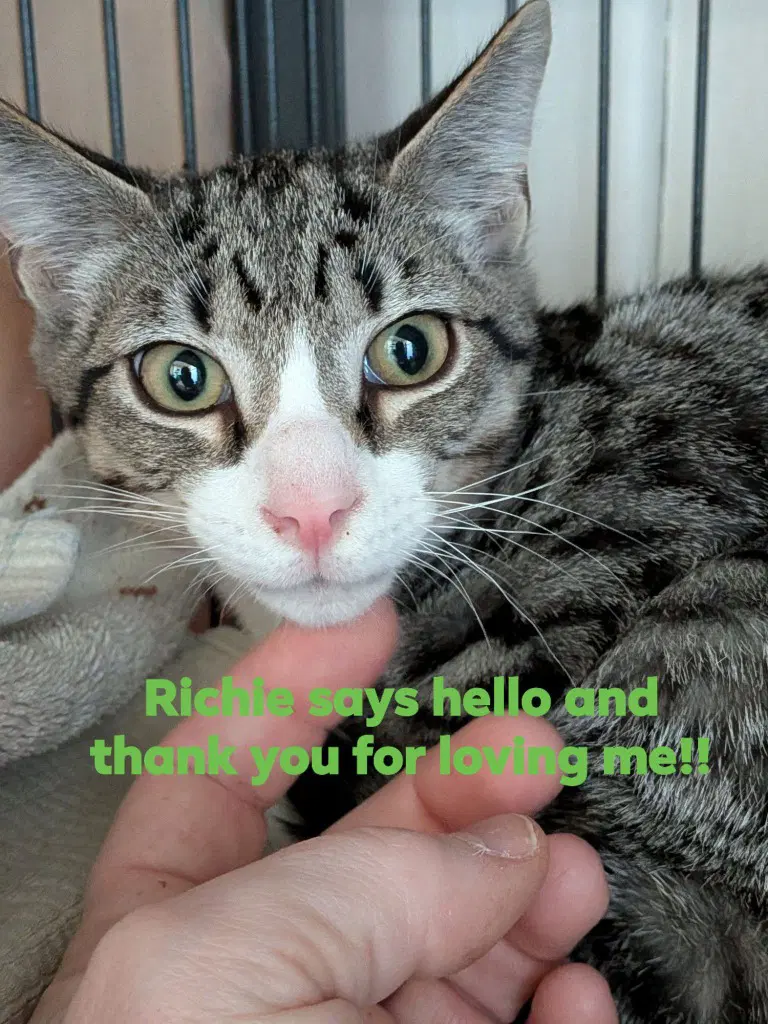 Richie image 2