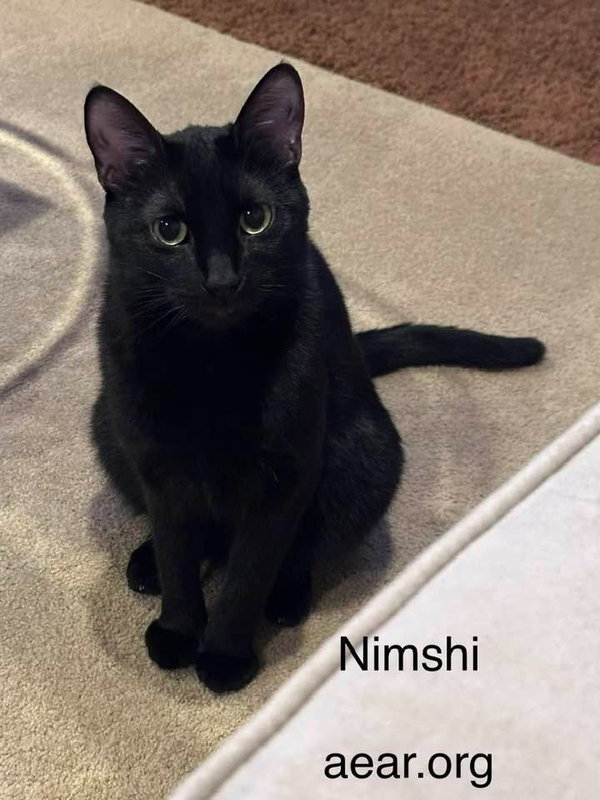 Nimshi