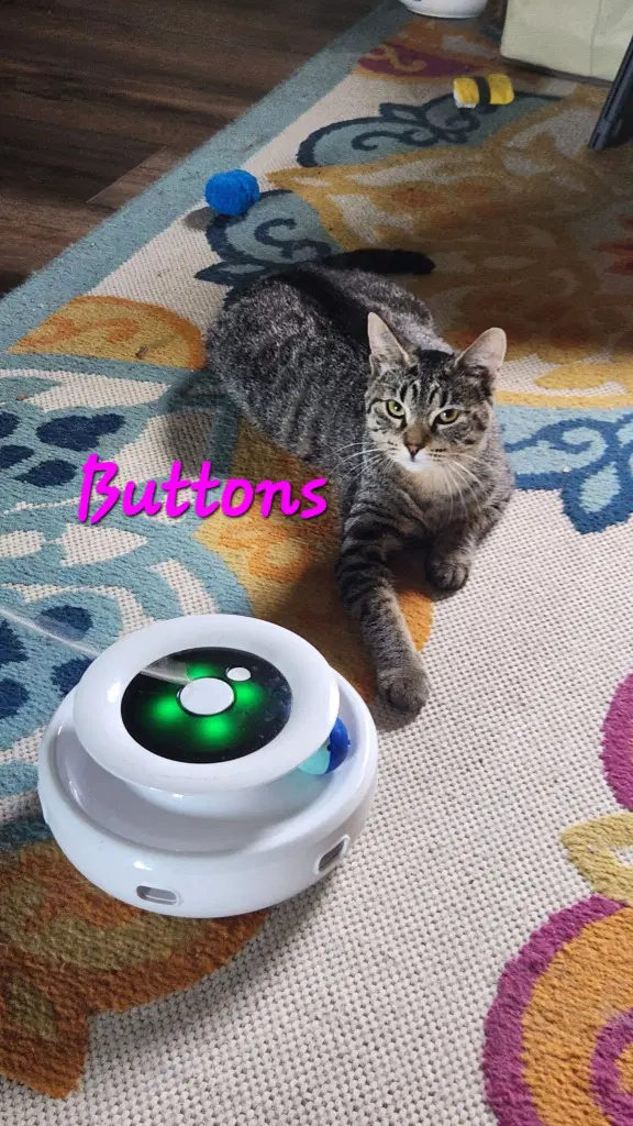 Buttons image 4