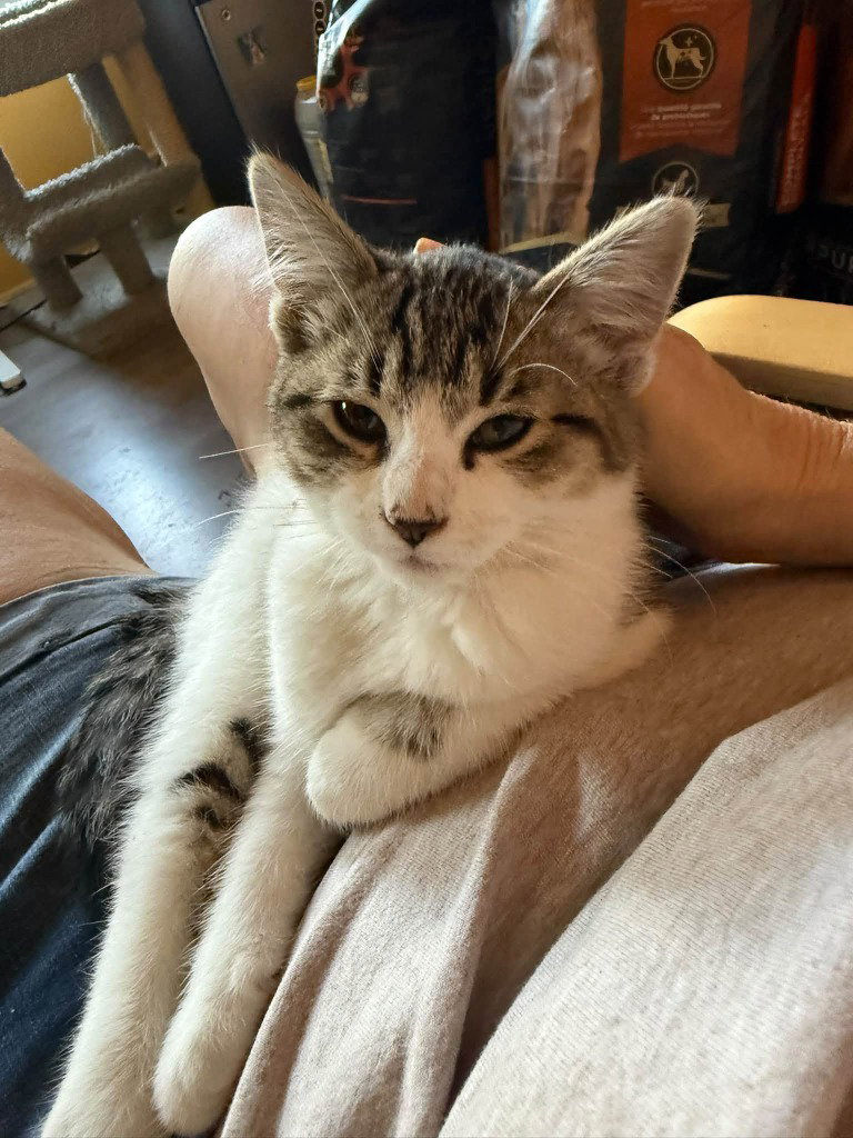 Pretzel