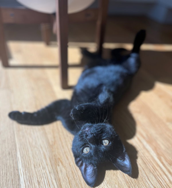 Jett