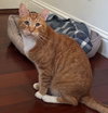Rusty - Photo 2