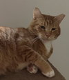 Rusty - Photo 3
