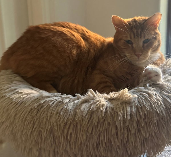 Rusty