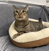 Madeline - Photo 3