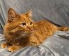 Peaches - Photo 3